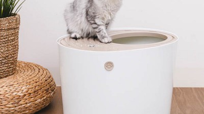냥이 행복 템! 똑똑한 고양이화장실고양이변기 추천 & 꿀팁 대방출! ✨
